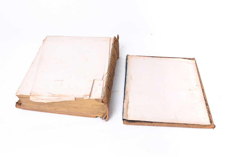 Antique 1878 Douay-Rheims Bible Published by Thomas Kelly