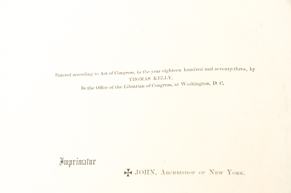 Antique 1878 Douay-Rheims Bible Published by Thomas Kelly