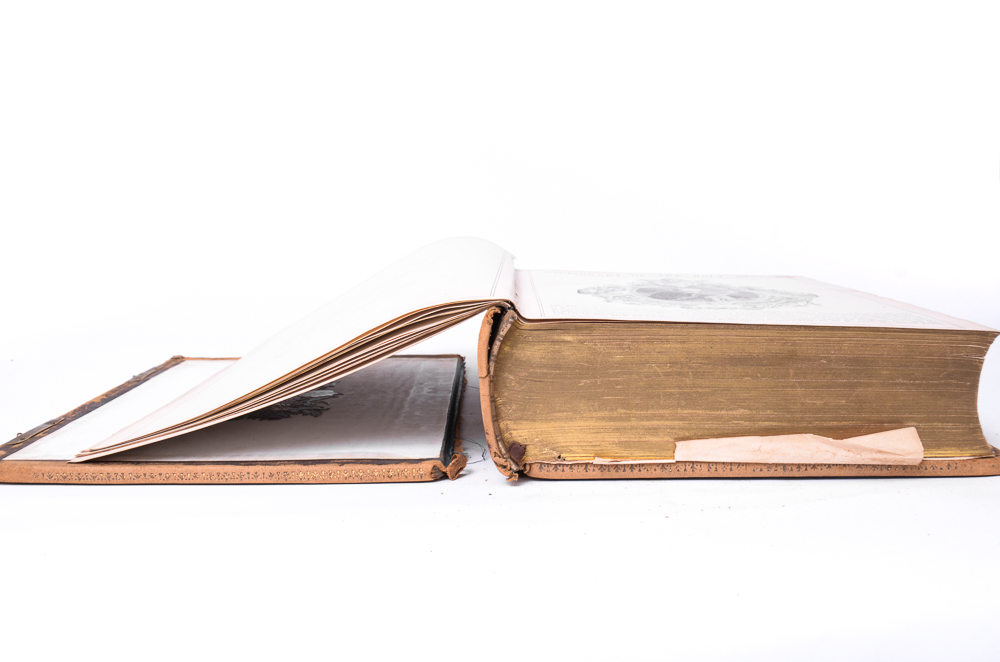 Antique 1878 Douay-Rheims Bible Published by Thomas Kelly