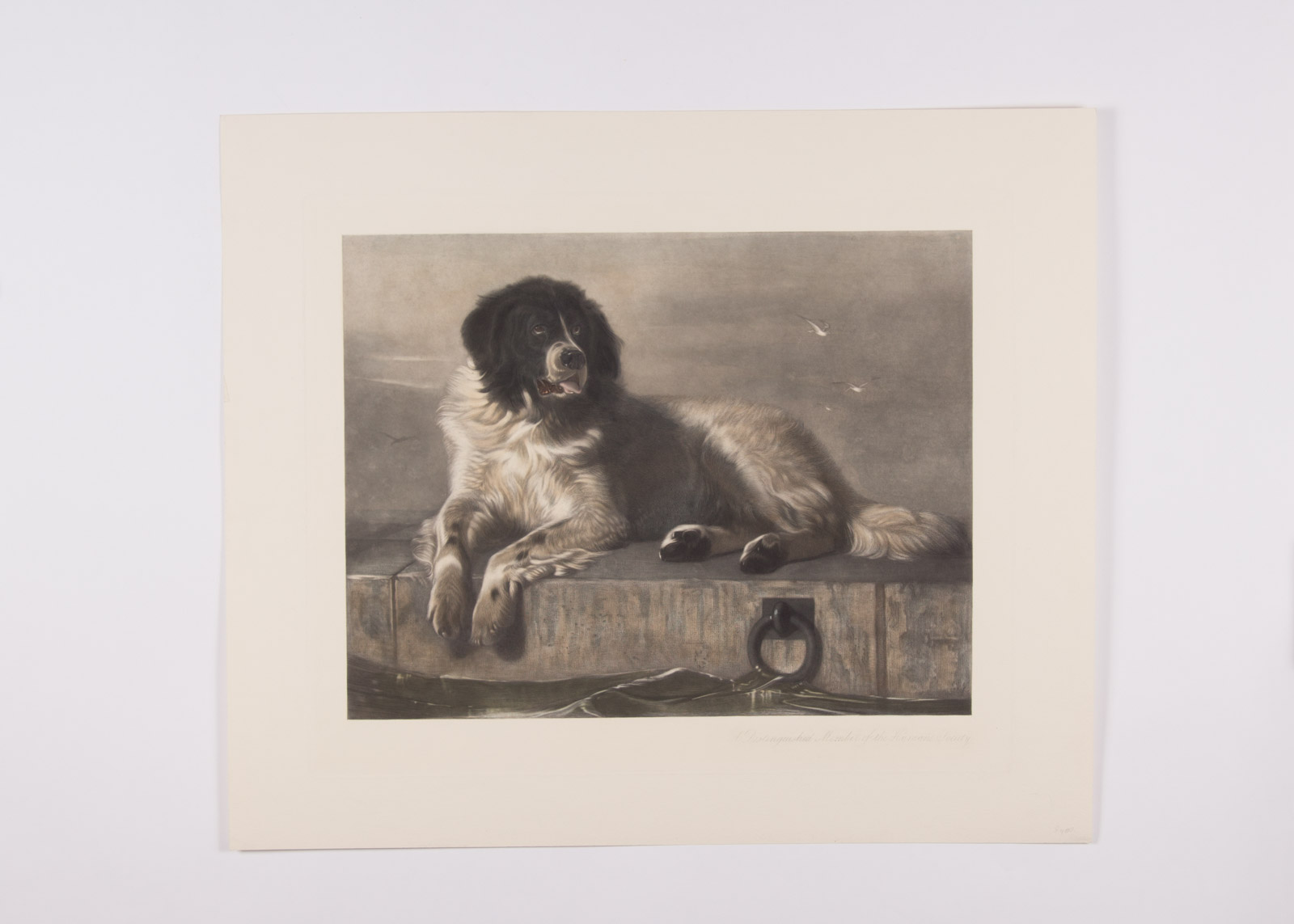 After Edwin Henry Landseer Hand Colored Engraving on Paper "A Distinguished Member of the Humane Society"