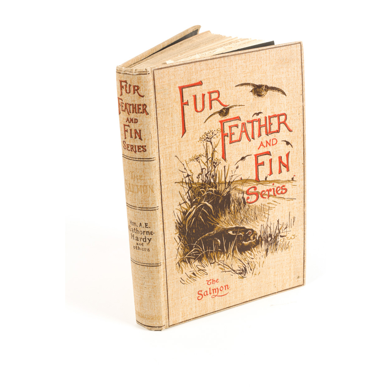 "Fur, Feather, and Fin Series: The Salmon" Book