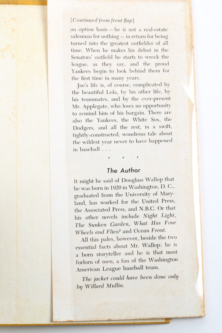 "The Year The Yankees Lost the Pennant" Book