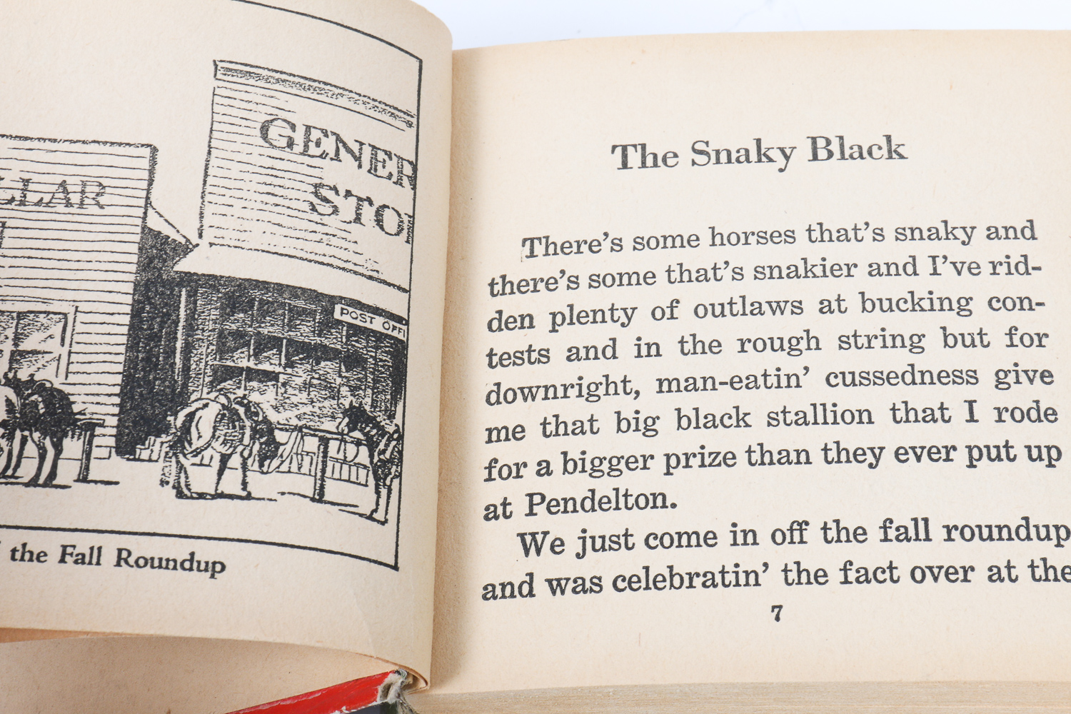 Cowboy-Themed Collection of "Big Little Books"