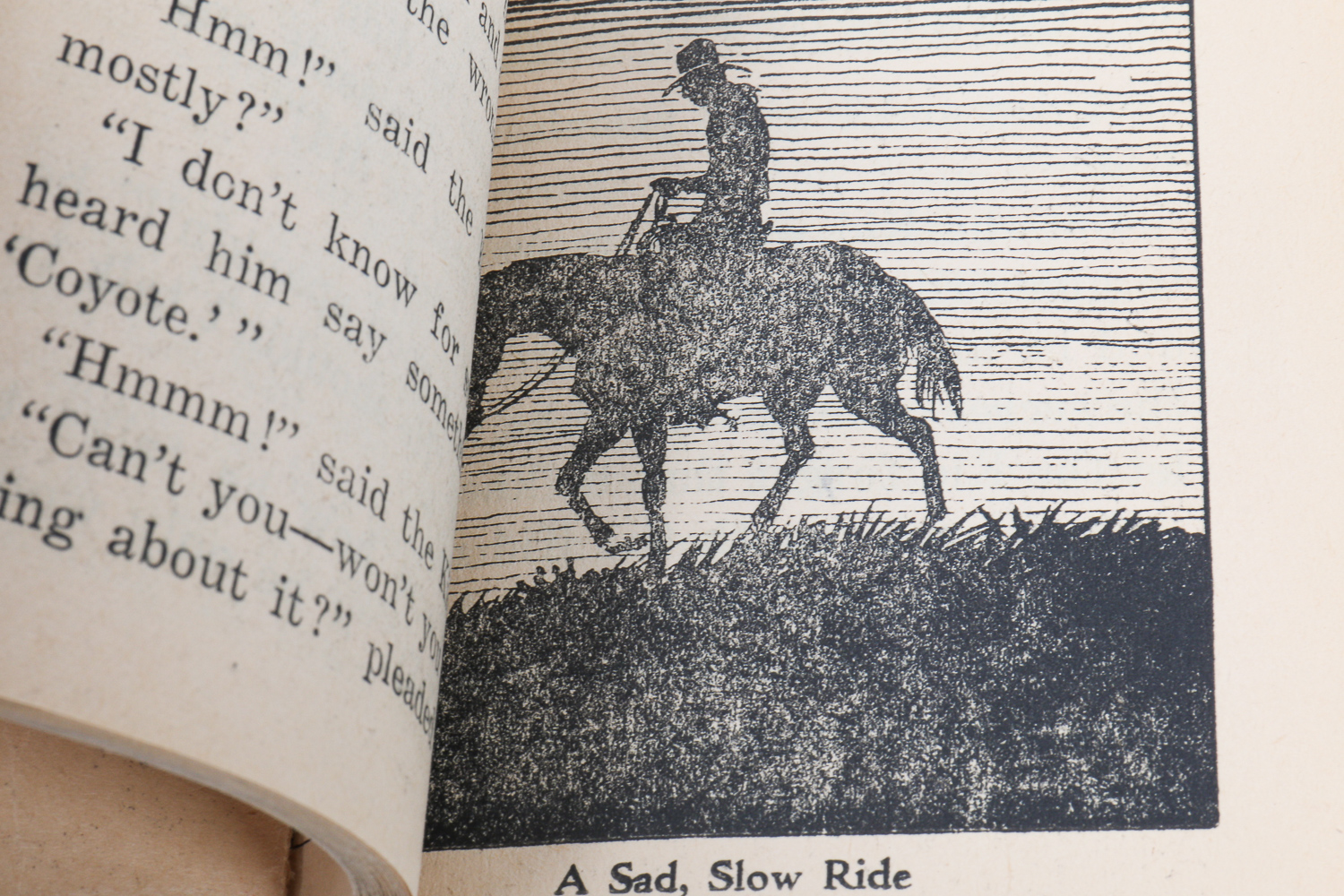 Cowboy-Themed Collection of "Big Little Books"