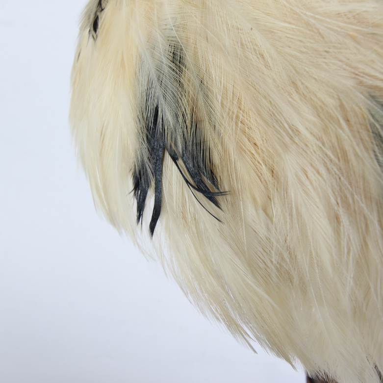 Five Women's Vintage Hats and Hatbox