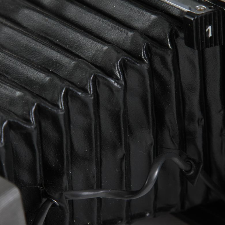 Vintage Camera Collection