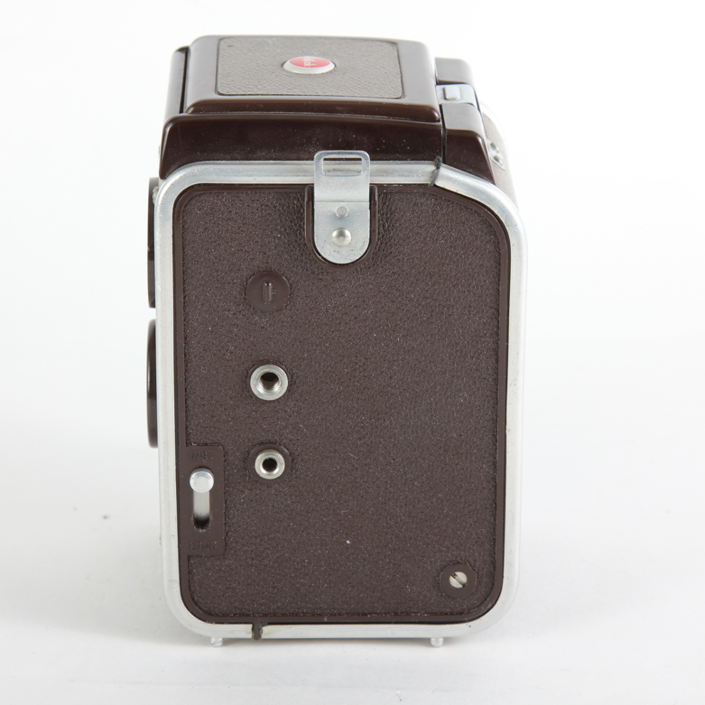 Vintage Camera Collection