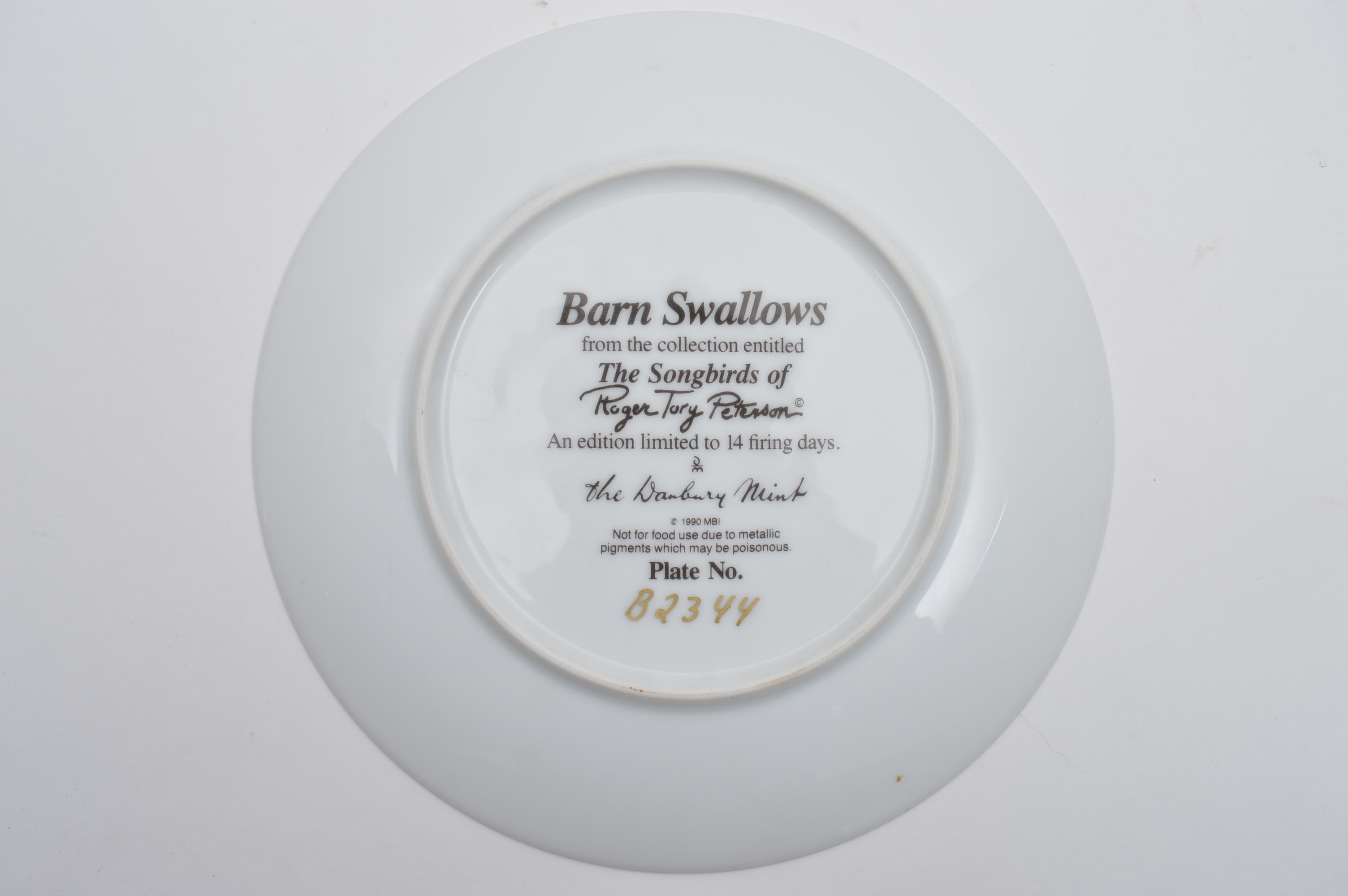 Porcelain Plates and Egg Light