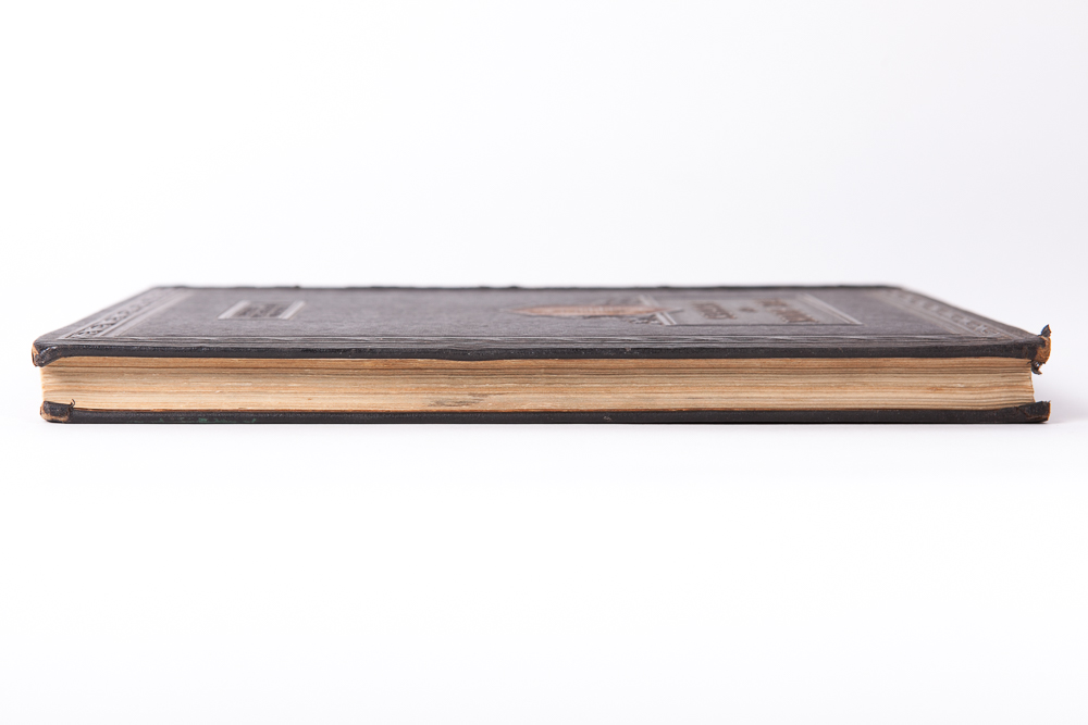 "The Book of Fishes" by John Oliver la Gorce, First Edition, 1924