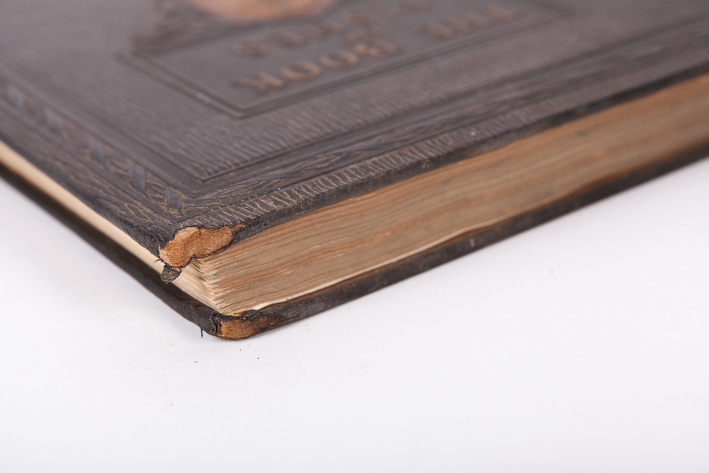 "The Book of Fishes" by John Oliver la Gorce, First Edition, 1924