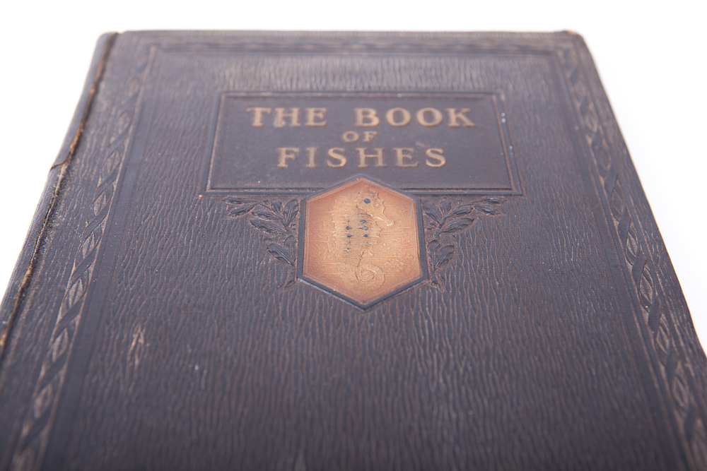 "The Book of Fishes" by John Oliver la Gorce, First Edition, 1924