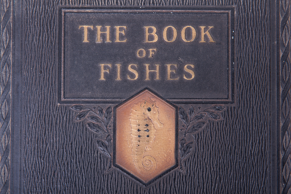 "The Book of Fishes" by John Oliver la Gorce, First Edition, 1924