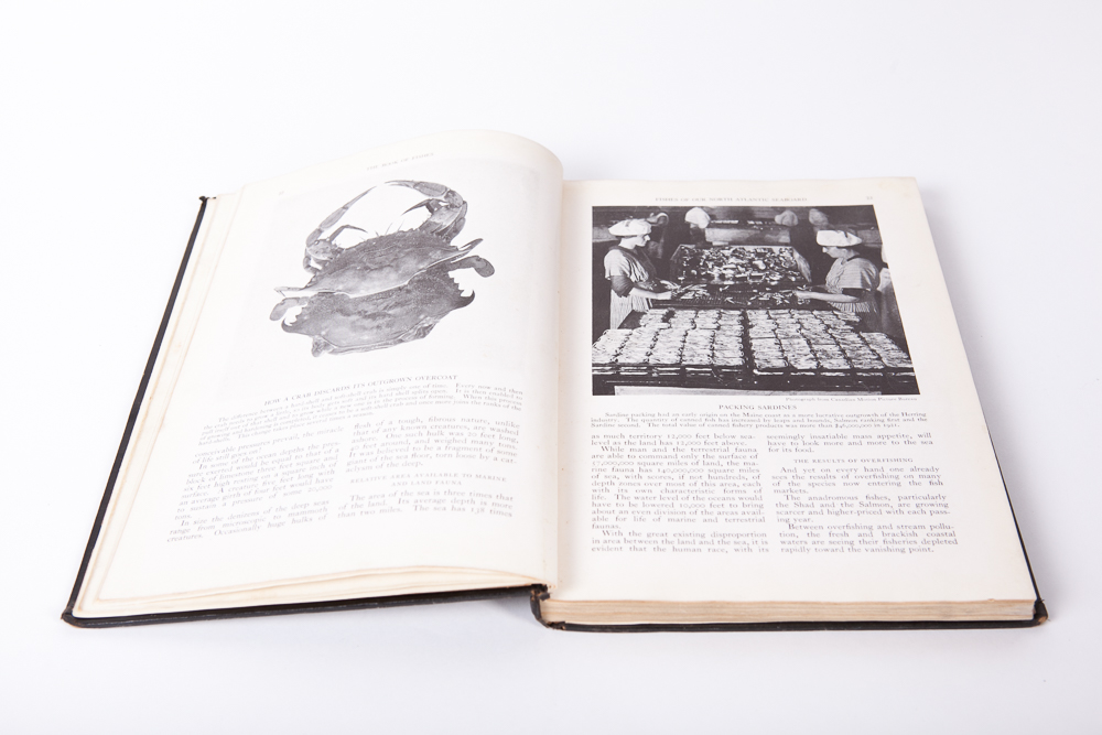 "The Book of Fishes" by John Oliver la Gorce, First Edition, 1924