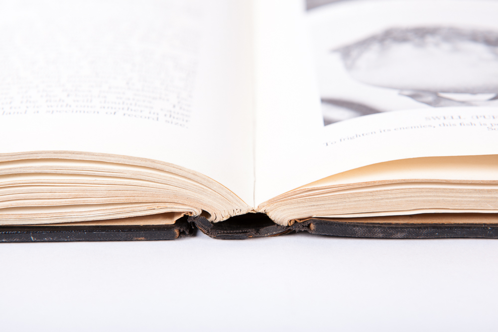 "The Book of Fishes" by John Oliver la Gorce, First Edition, 1924