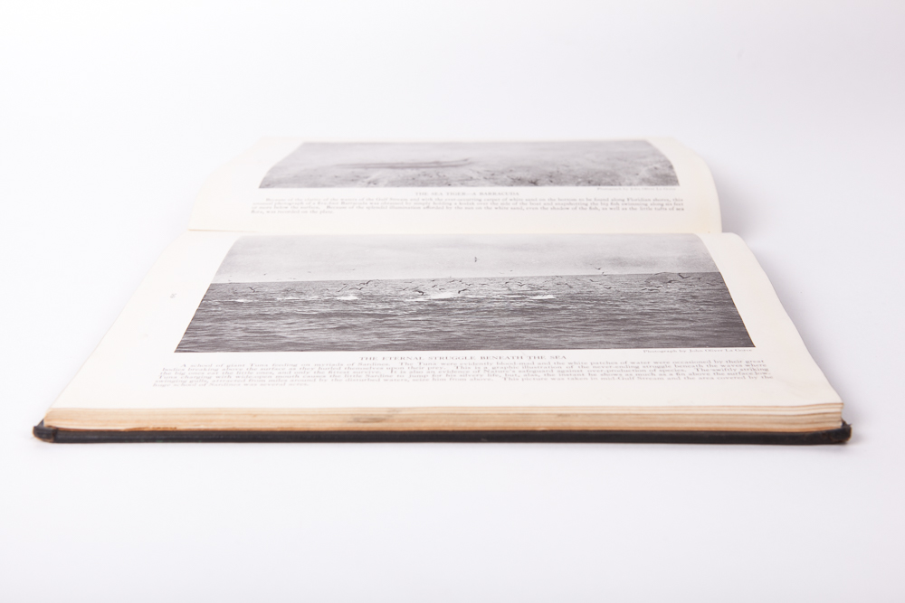 "The Book of Fishes" by John Oliver la Gorce, First Edition, 1924