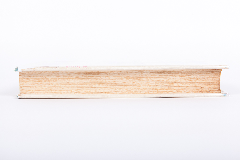 "'To Whom The Goddess'...Riding and Hunting for Women"