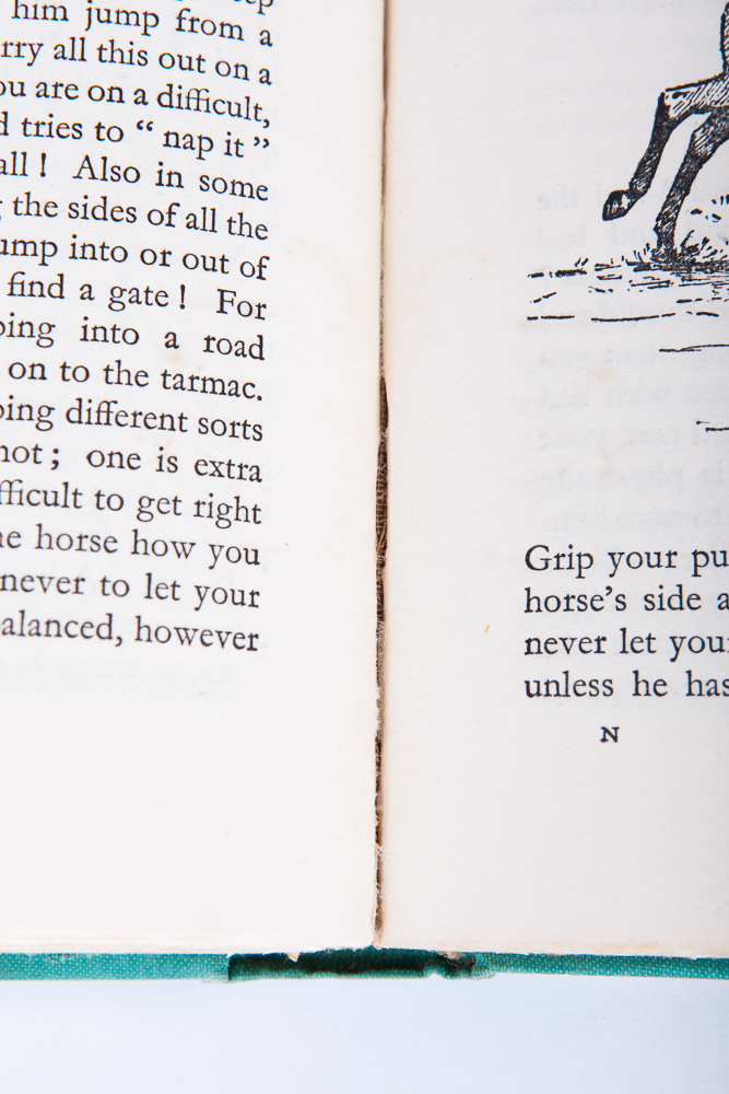 "'To Whom The Goddess'...Riding and Hunting for Women"