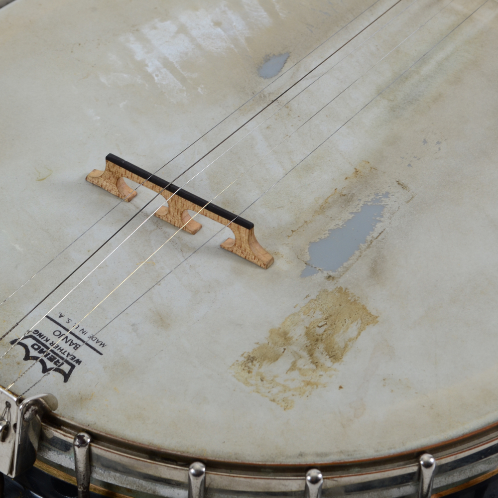 Fender 5-string Banjo With Case