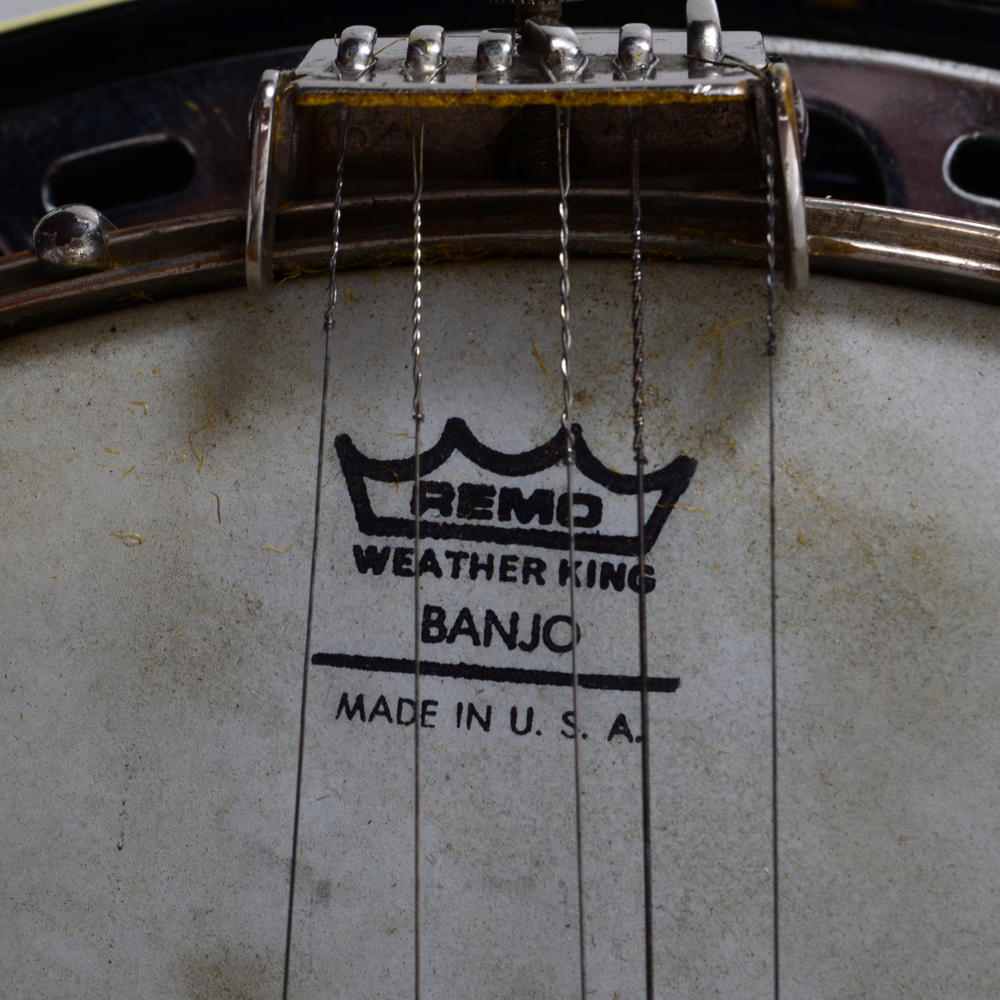 Fender 5-string Banjo With Case