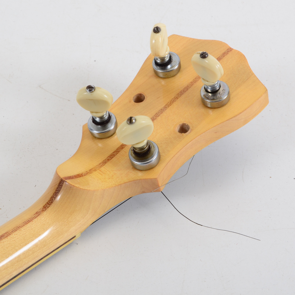 Fender 5-string Banjo With Case