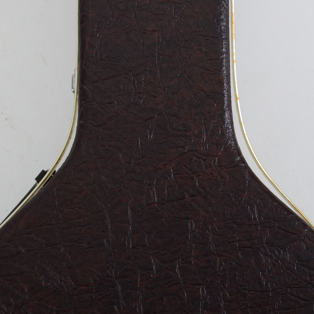 Fender 5-string Banjo With Case