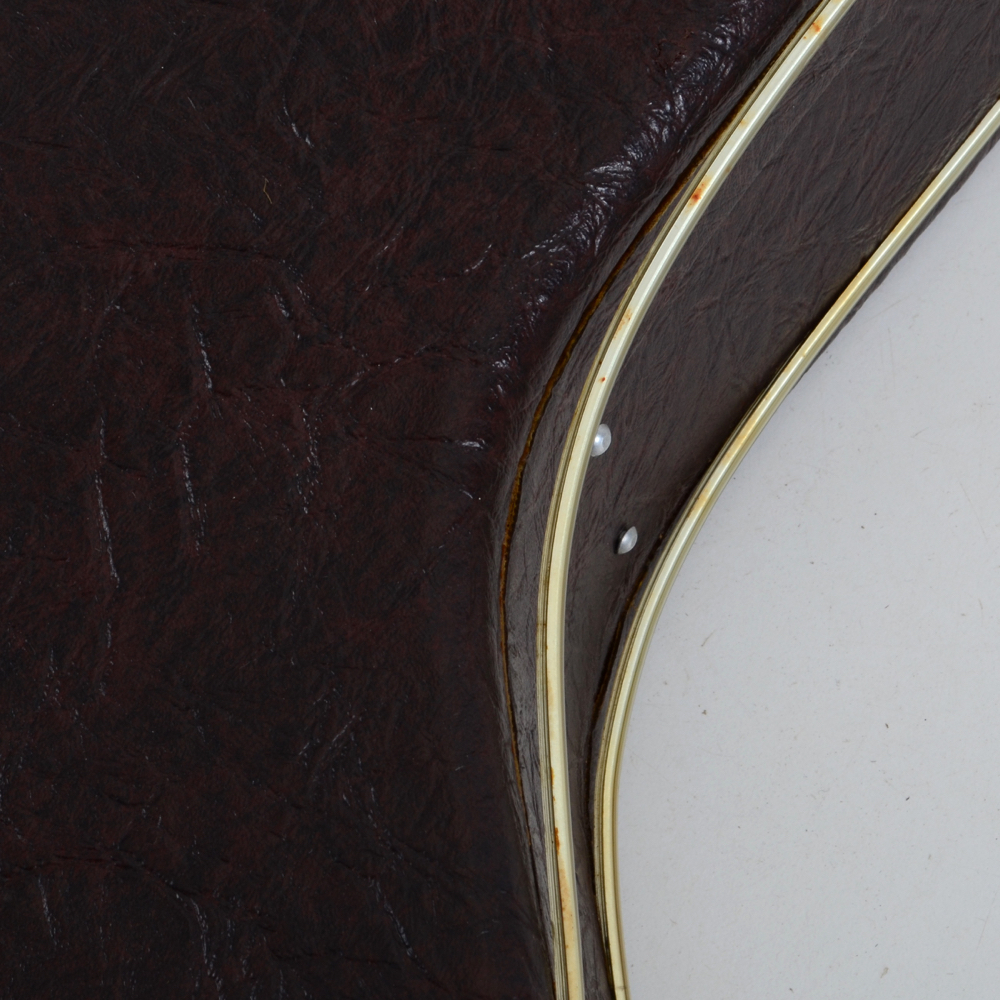 Fender 5-string Banjo With Case