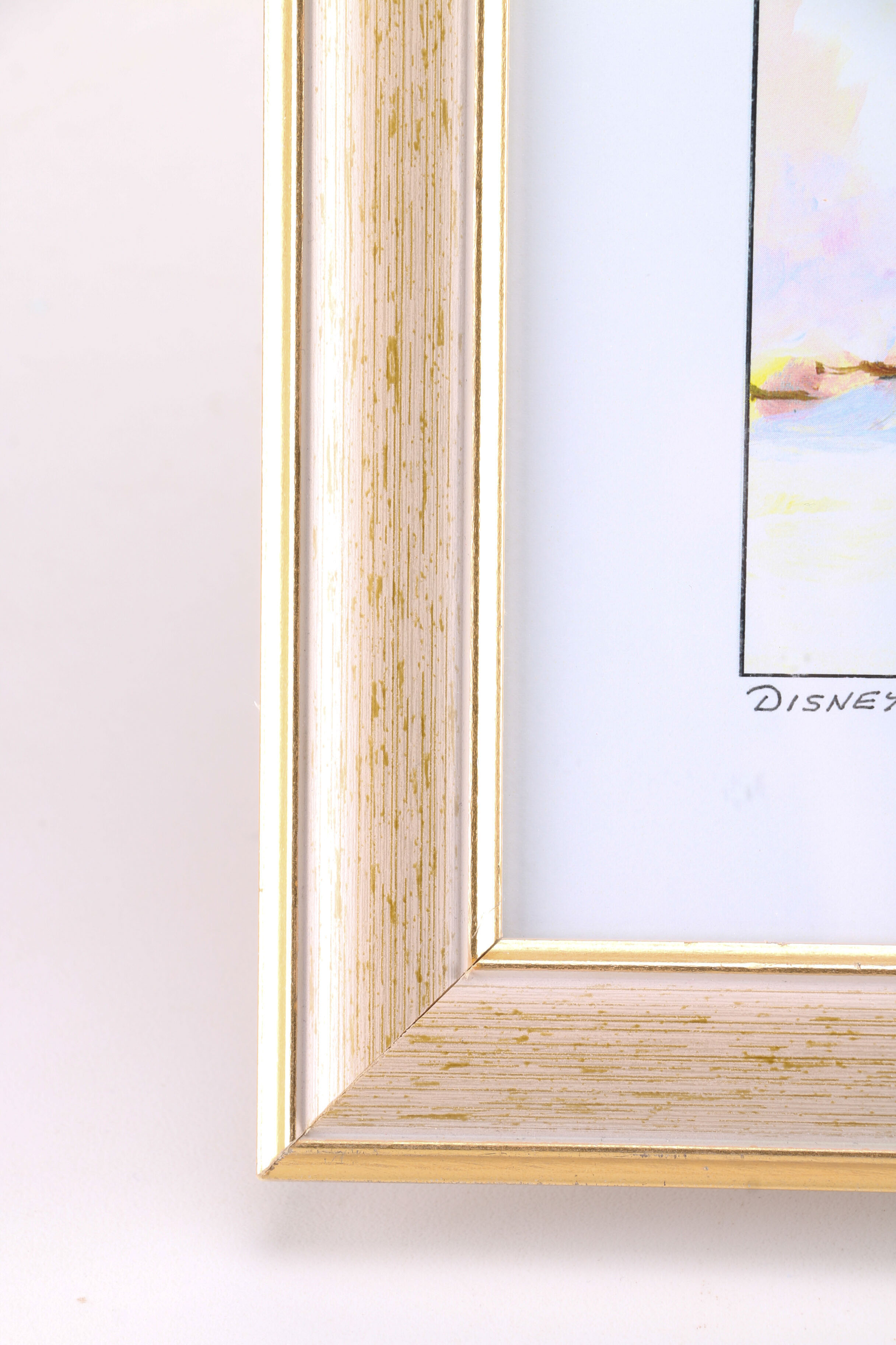 Pair of Alexandria Skordas 1999 and 2000 Offset Lithographs after "Disney's Vero Beach Resort"