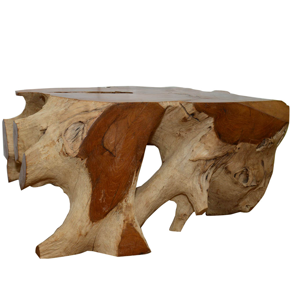 Modern Walnut Root Coffee Table