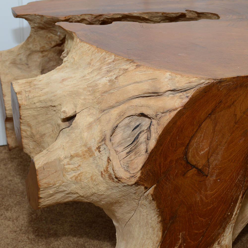 Modern Walnut Root Coffee Table