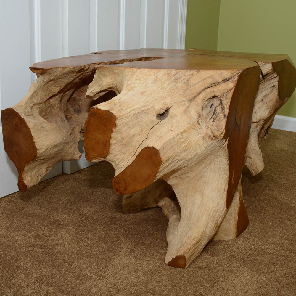 Modern Walnut Root Coffee Table