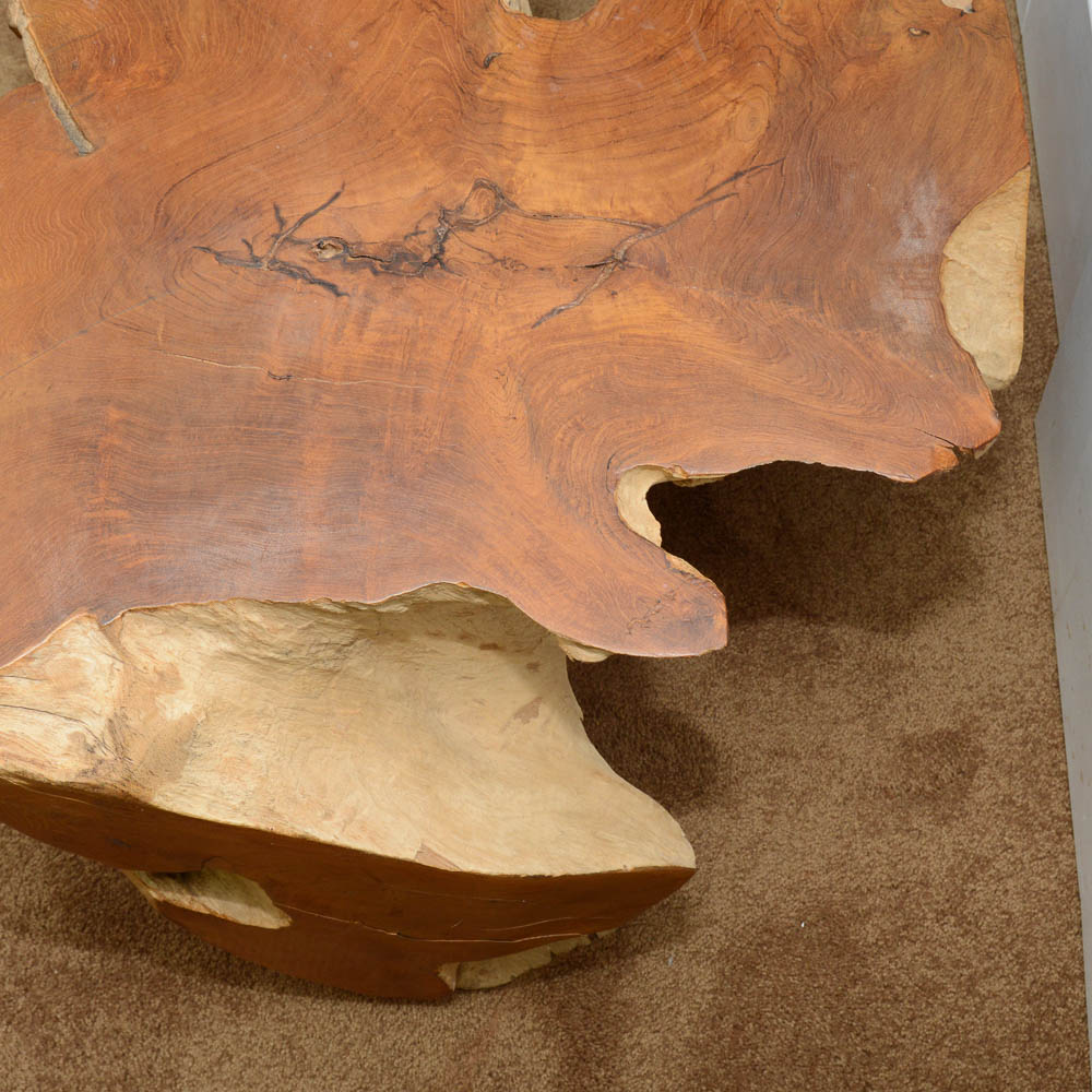 Modern Walnut Root Coffee Table