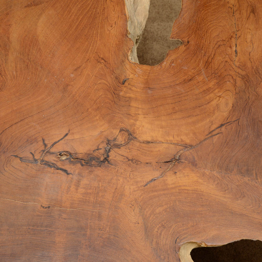 Modern Walnut Root Coffee Table