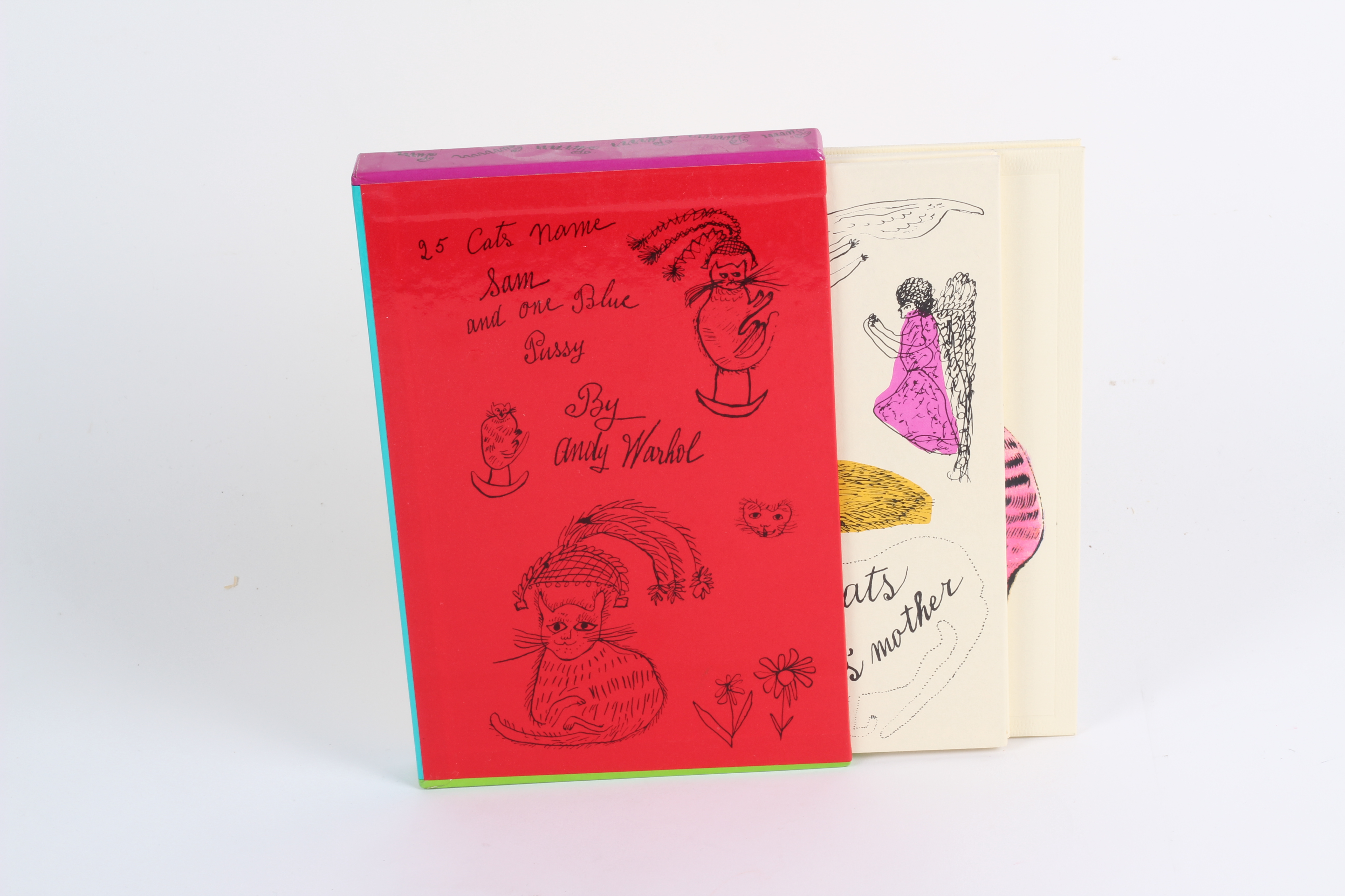 Cat-Themed Books Including an Andy Warhol Boxed Set