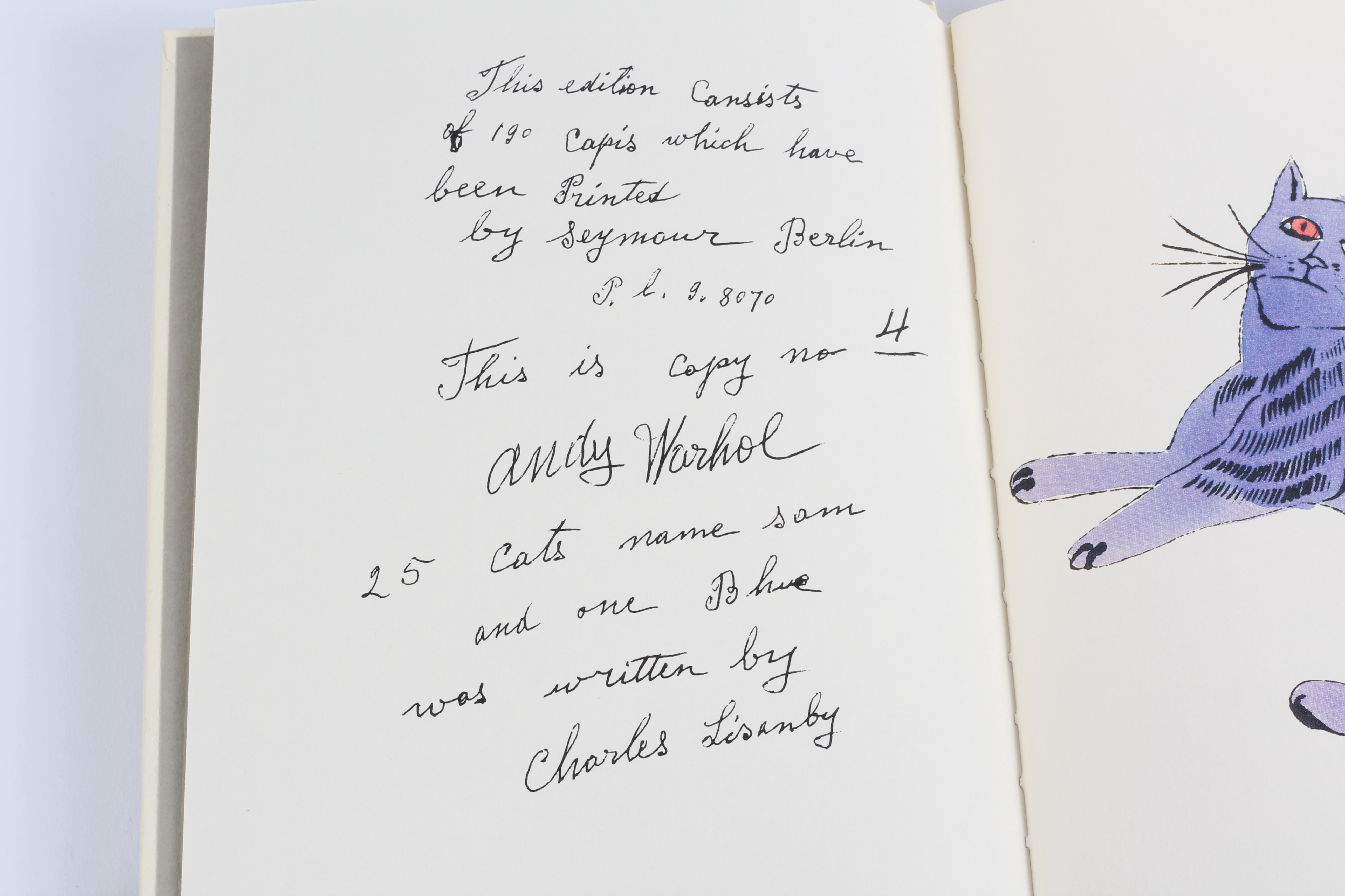 Cat-Themed Books Including an Andy Warhol Boxed Set