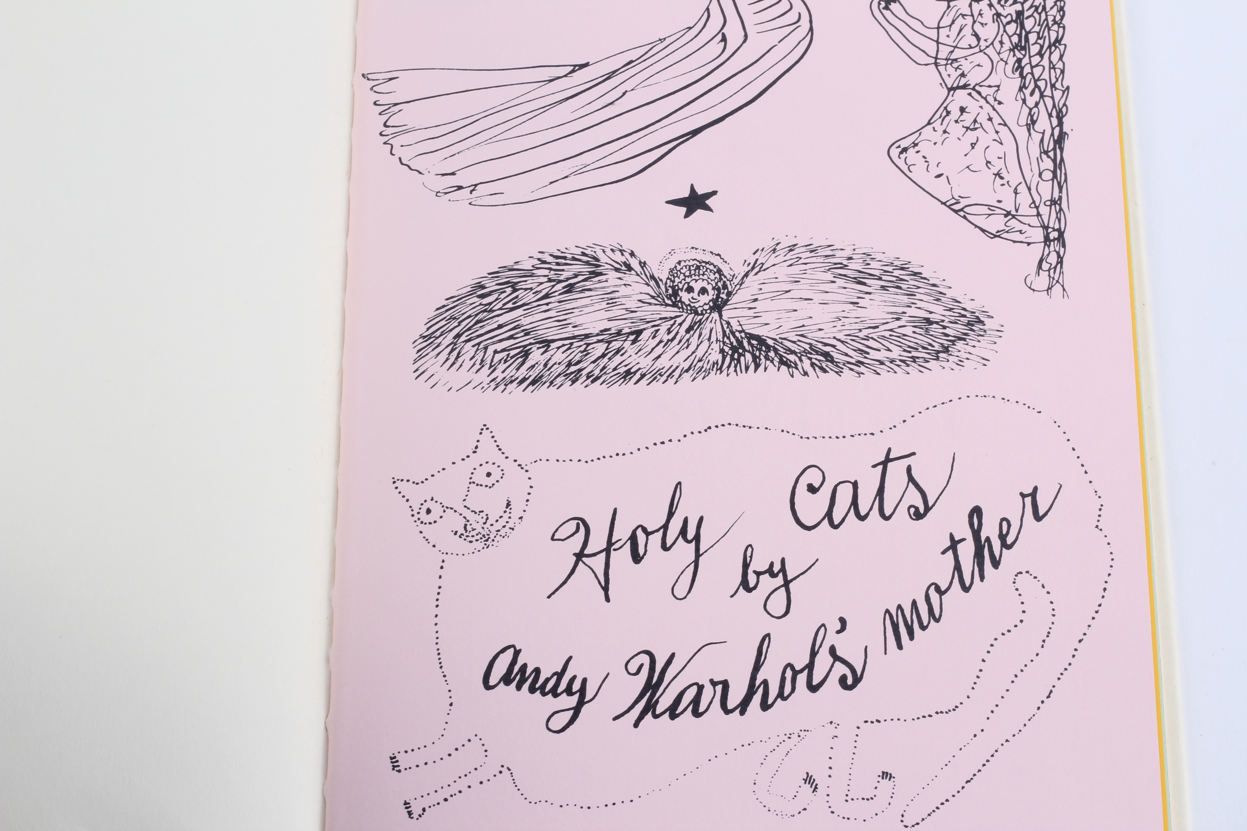 Cat-Themed Books Including an Andy Warhol Boxed Set