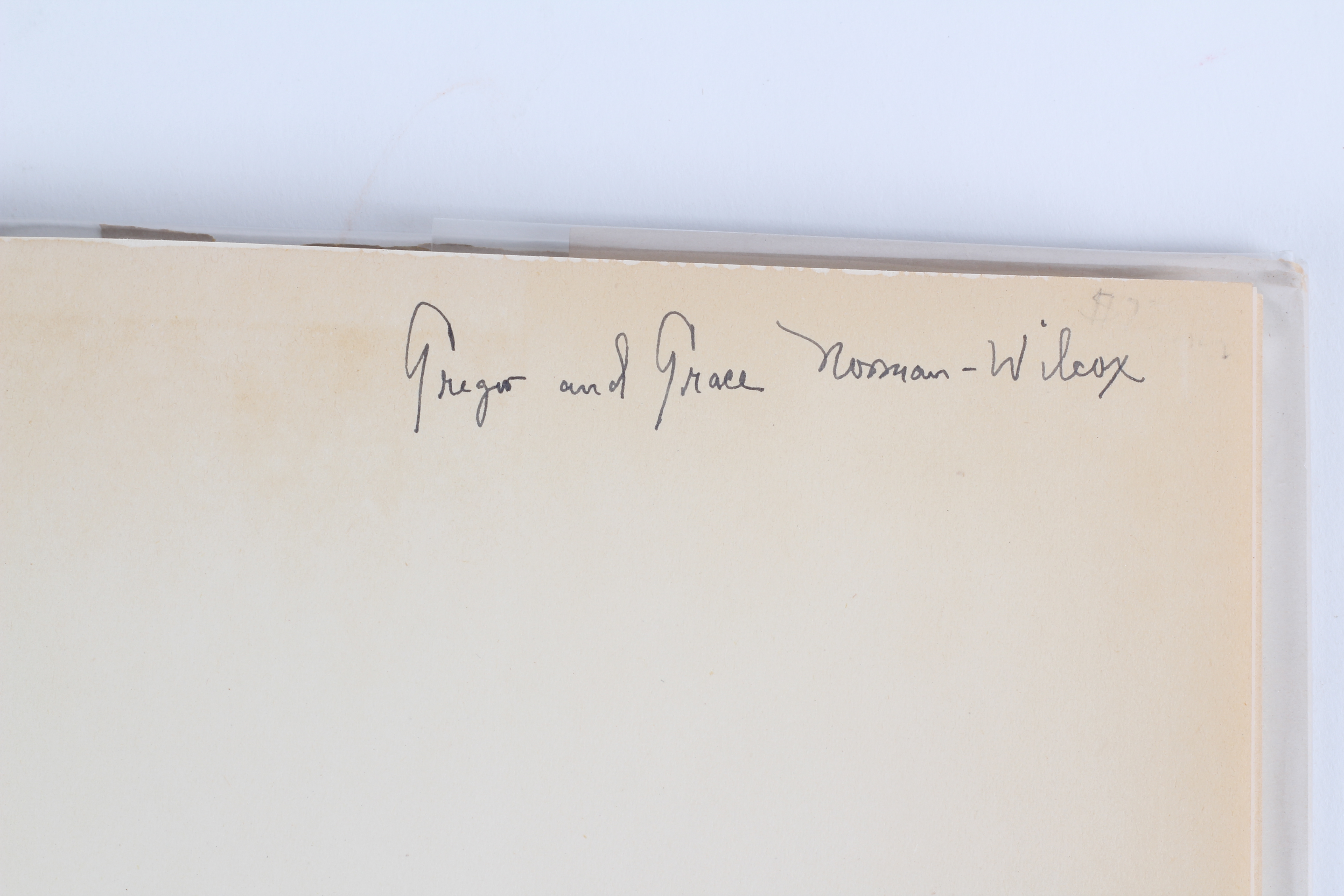 Cat-Themed Books Including an Andy Warhol Boxed Set