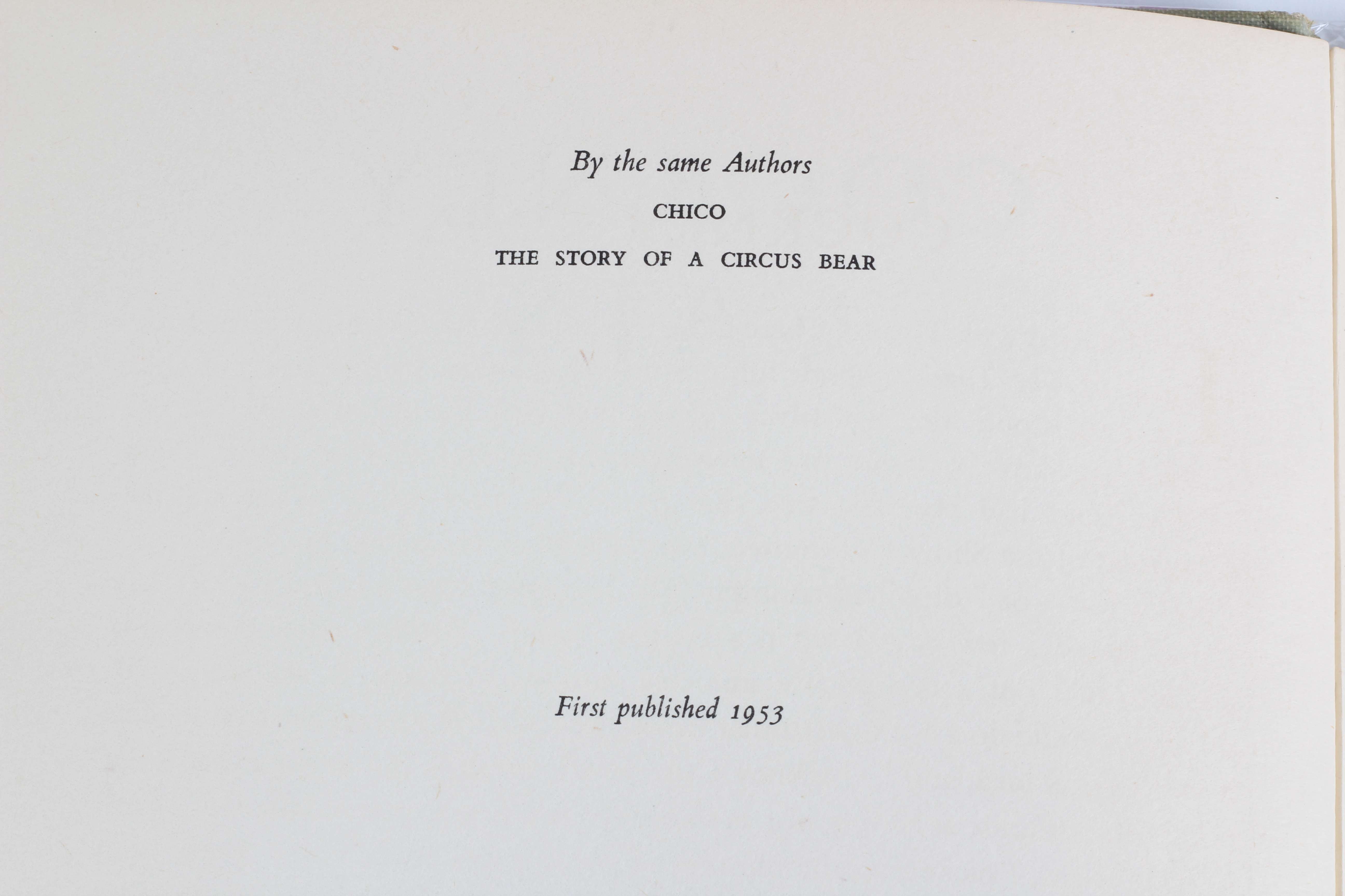 Cat-Themed Books Including an Andy Warhol Boxed Set