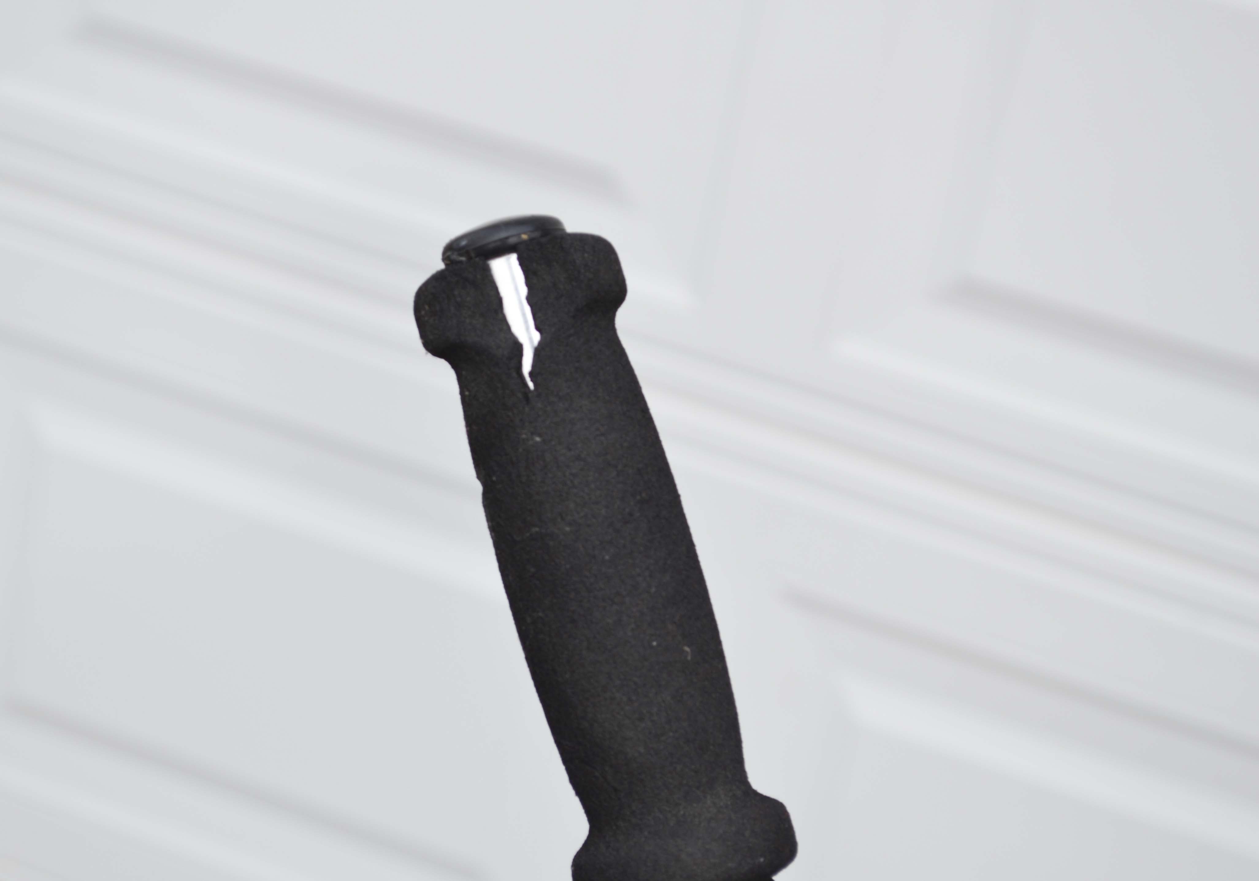 Mango Conure Women's Bicycle