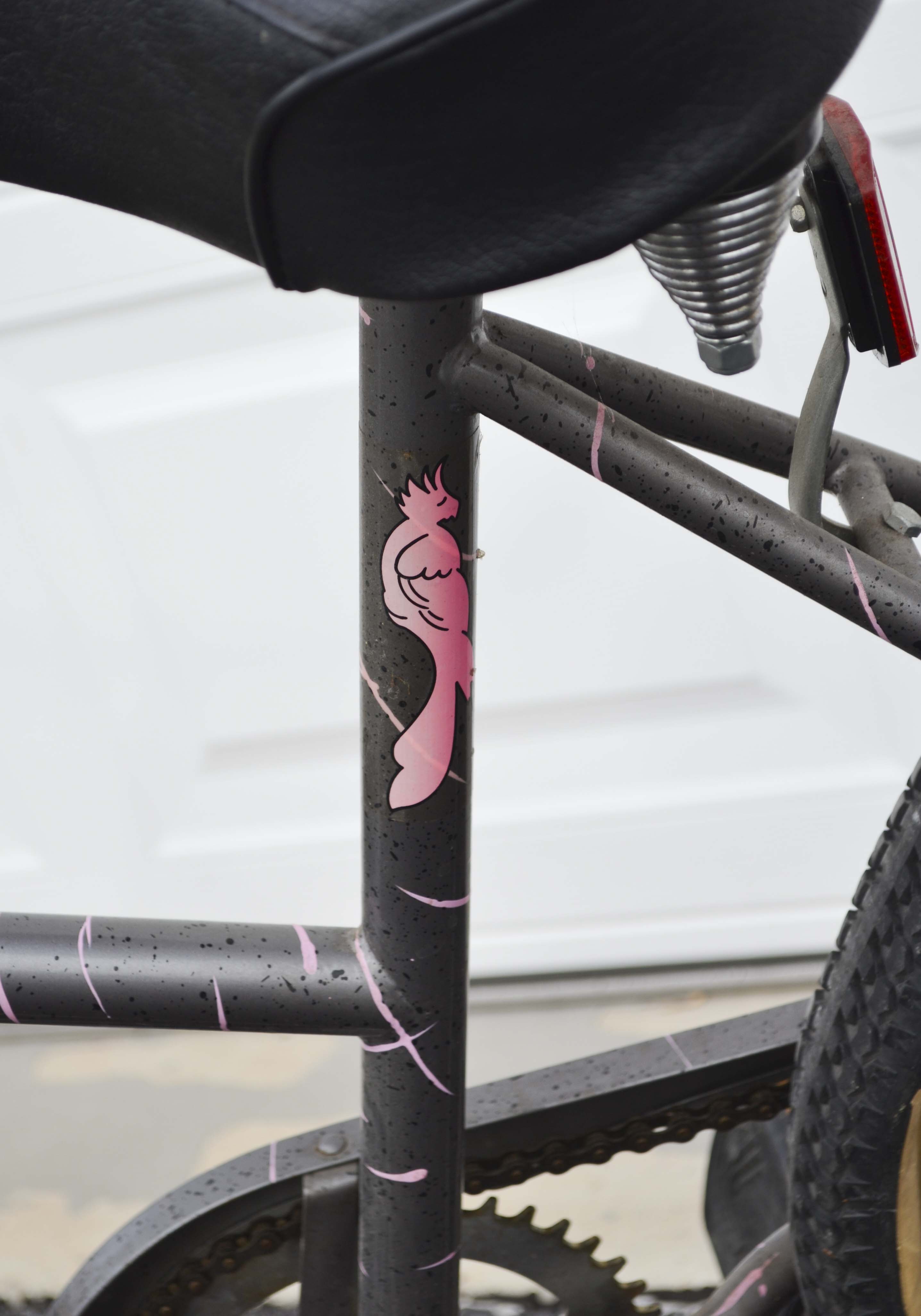 Mango Conure Women's Bicycle