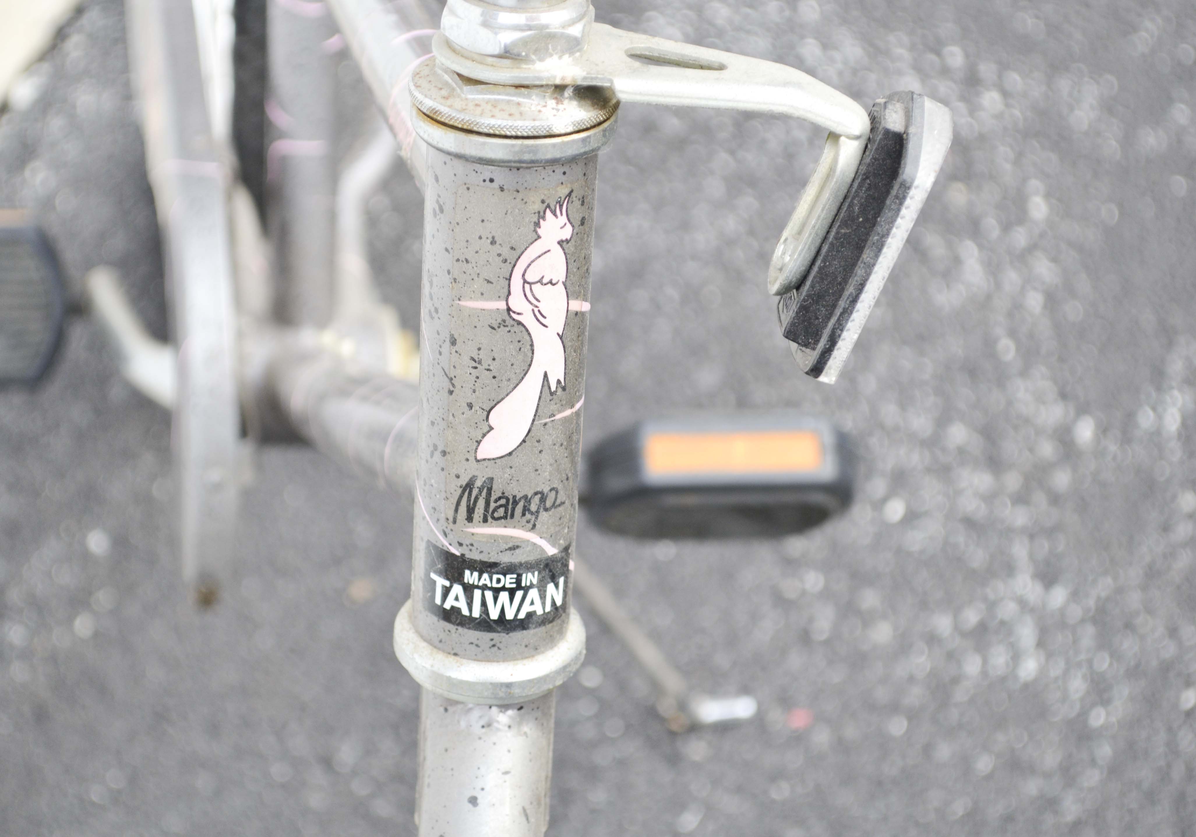 Mango Conure Women's Bicycle