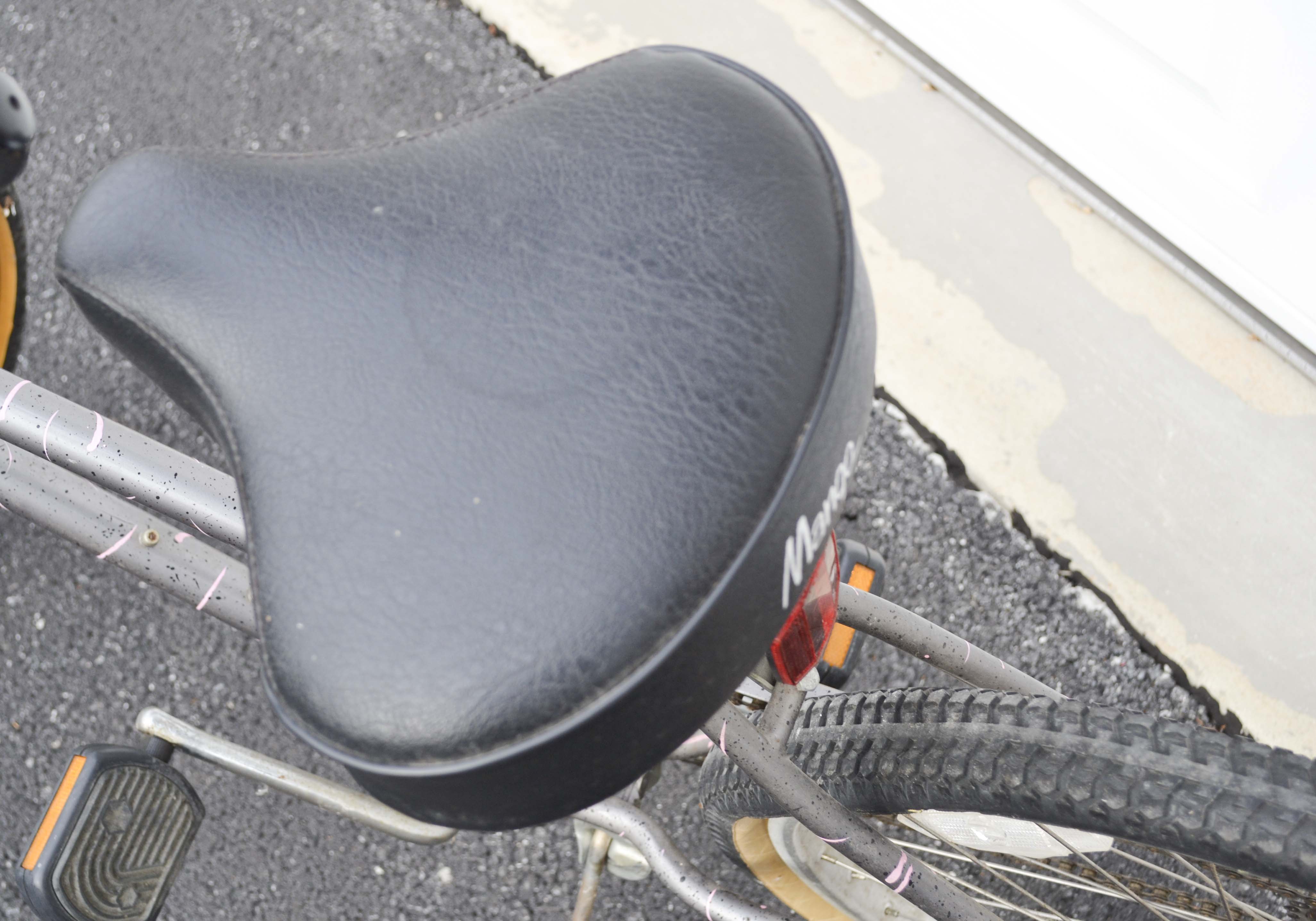 Mango Conure Women's Bicycle