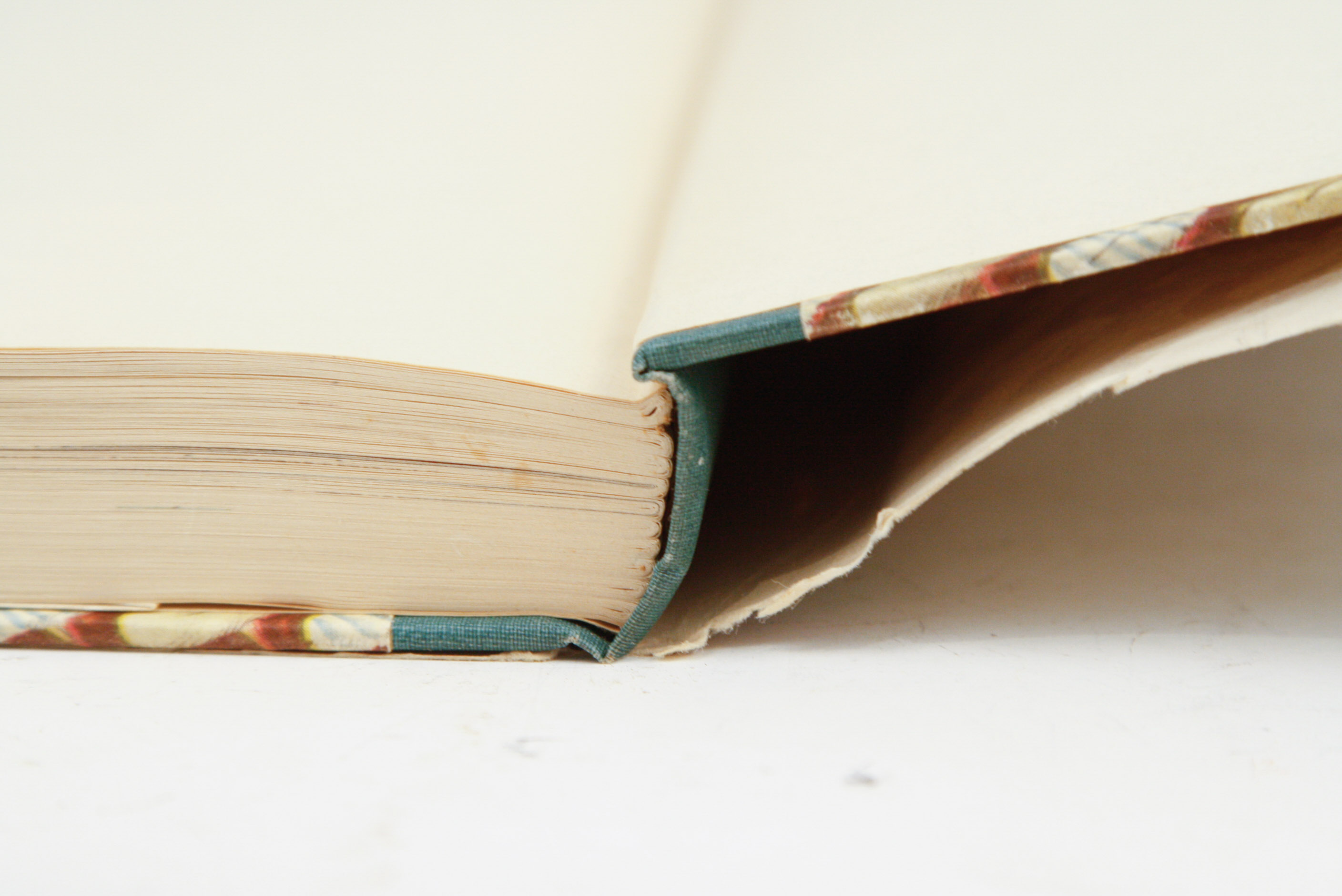 1950 Popular Edition of "Audubon's Birds of America"