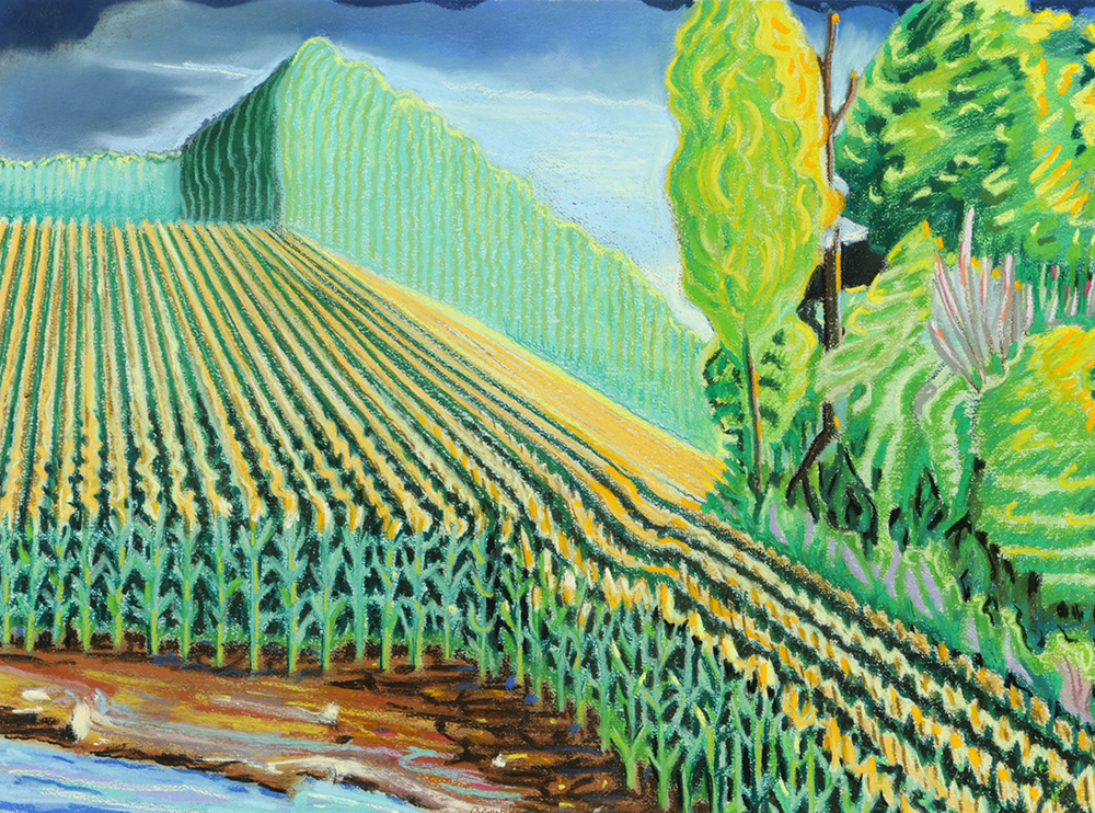 Brinsley Tyrrell Pastel Drawing on Paper "Cornfield-Bright"