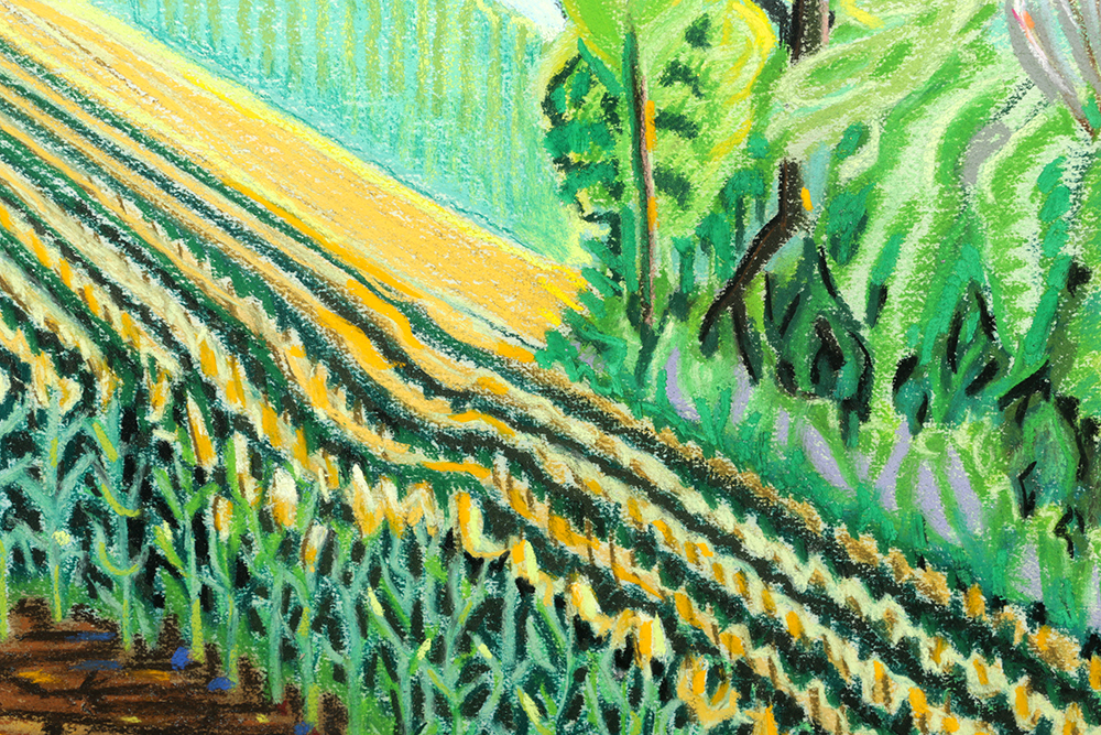 Brinsley Tyrrell Pastel Drawing on Paper "Cornfield-Bright"