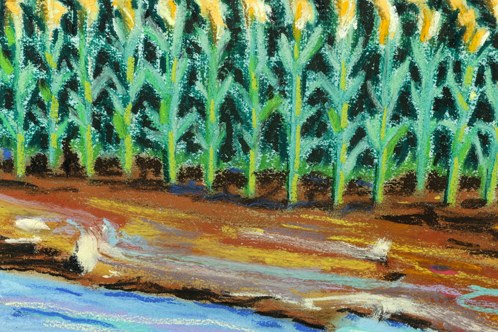 Brinsley Tyrrell Pastel Drawing on Paper "Cornfield-Bright"