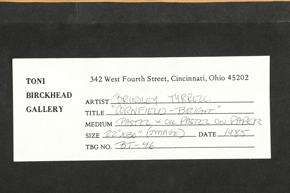 Brinsley Tyrrell Pastel Drawing on Paper "Cornfield-Bright"