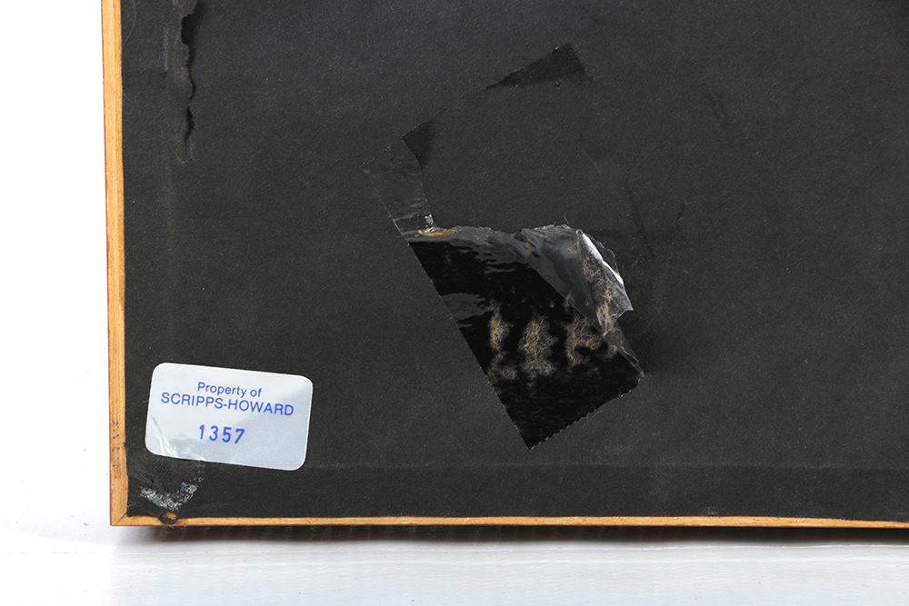 Brinsley Tyrrell Pastel Drawing on Paper "Cornfield-Bright"