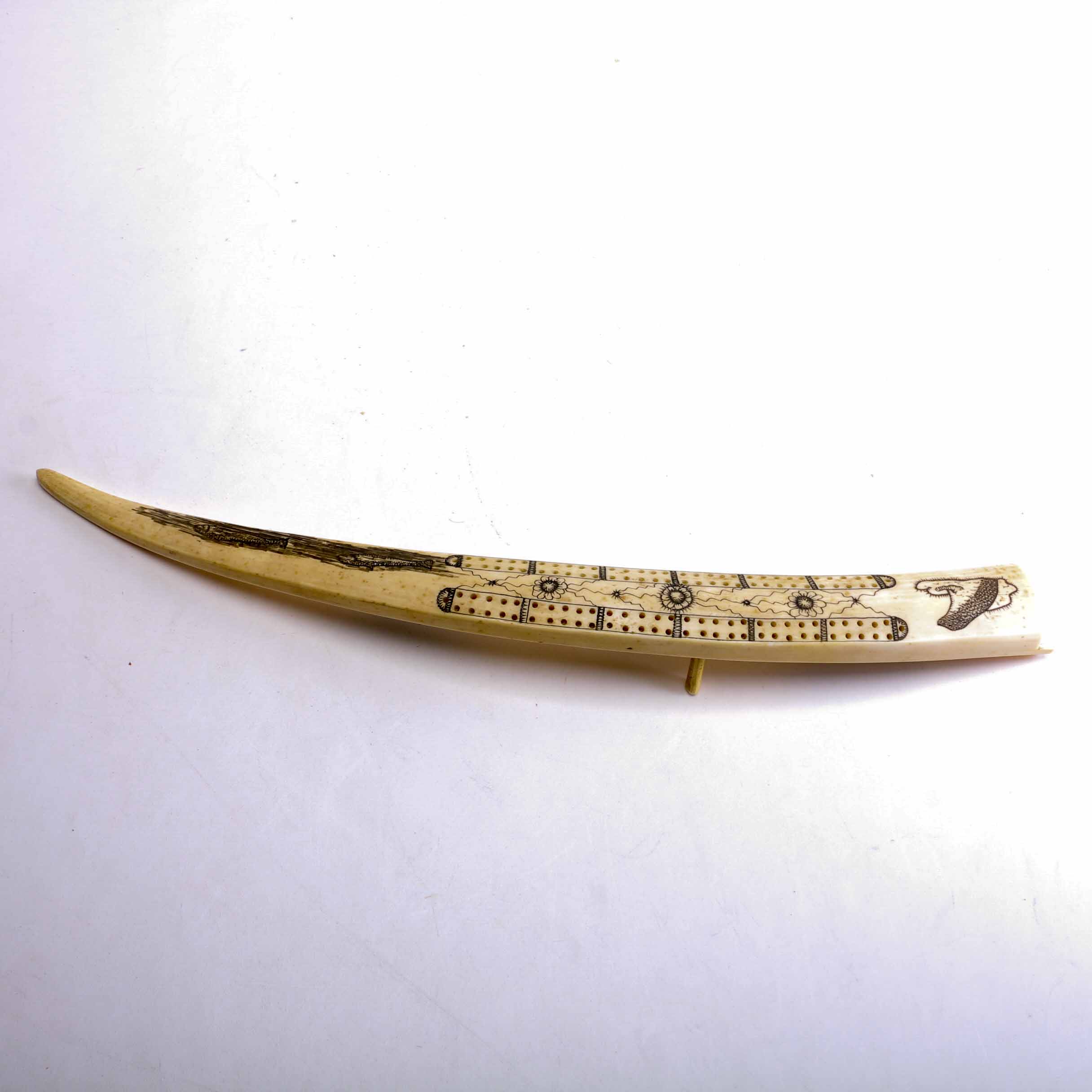 Bone Scrimshaw Cribbage Board