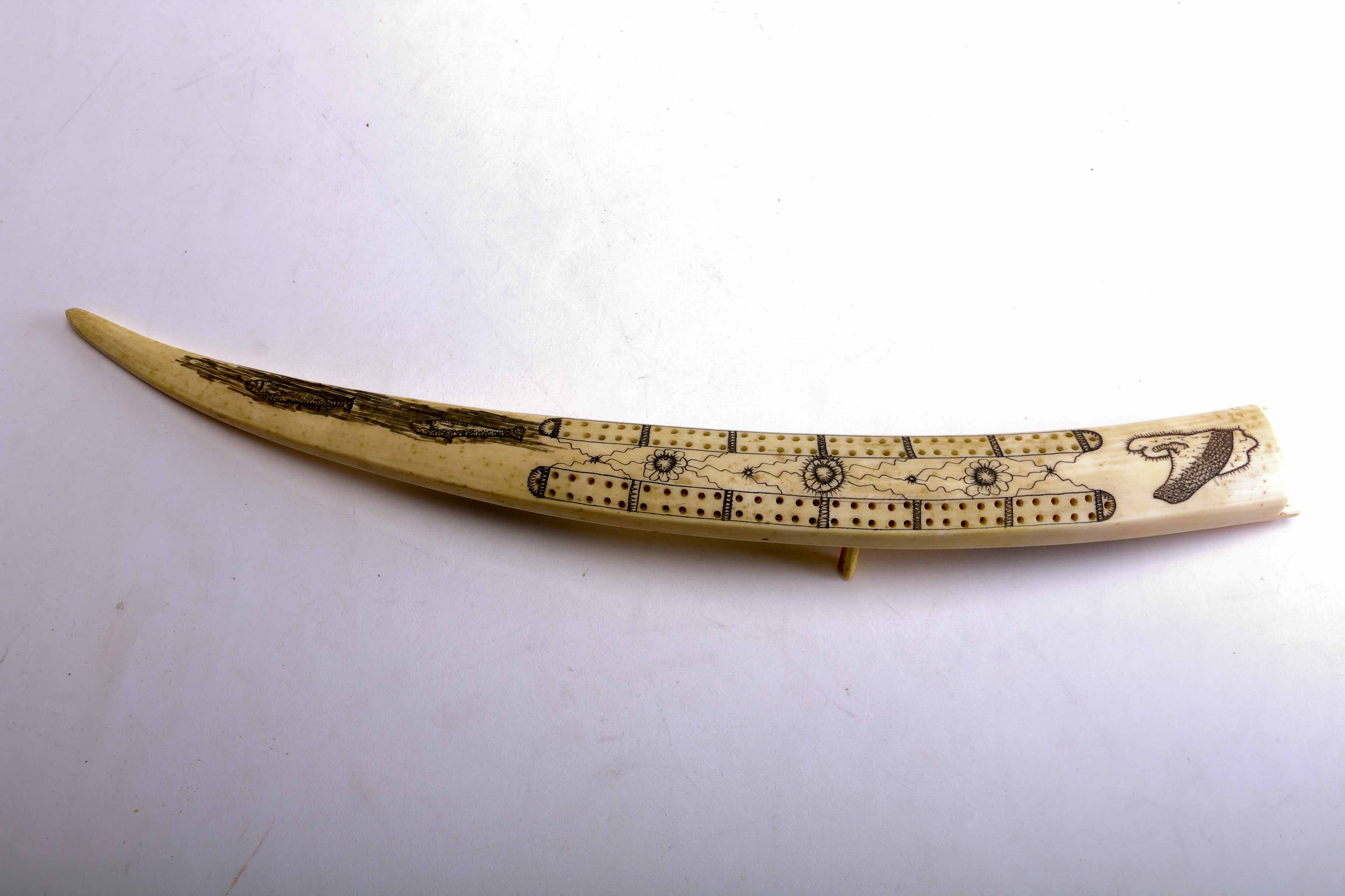 Bone Scrimshaw Cribbage Board