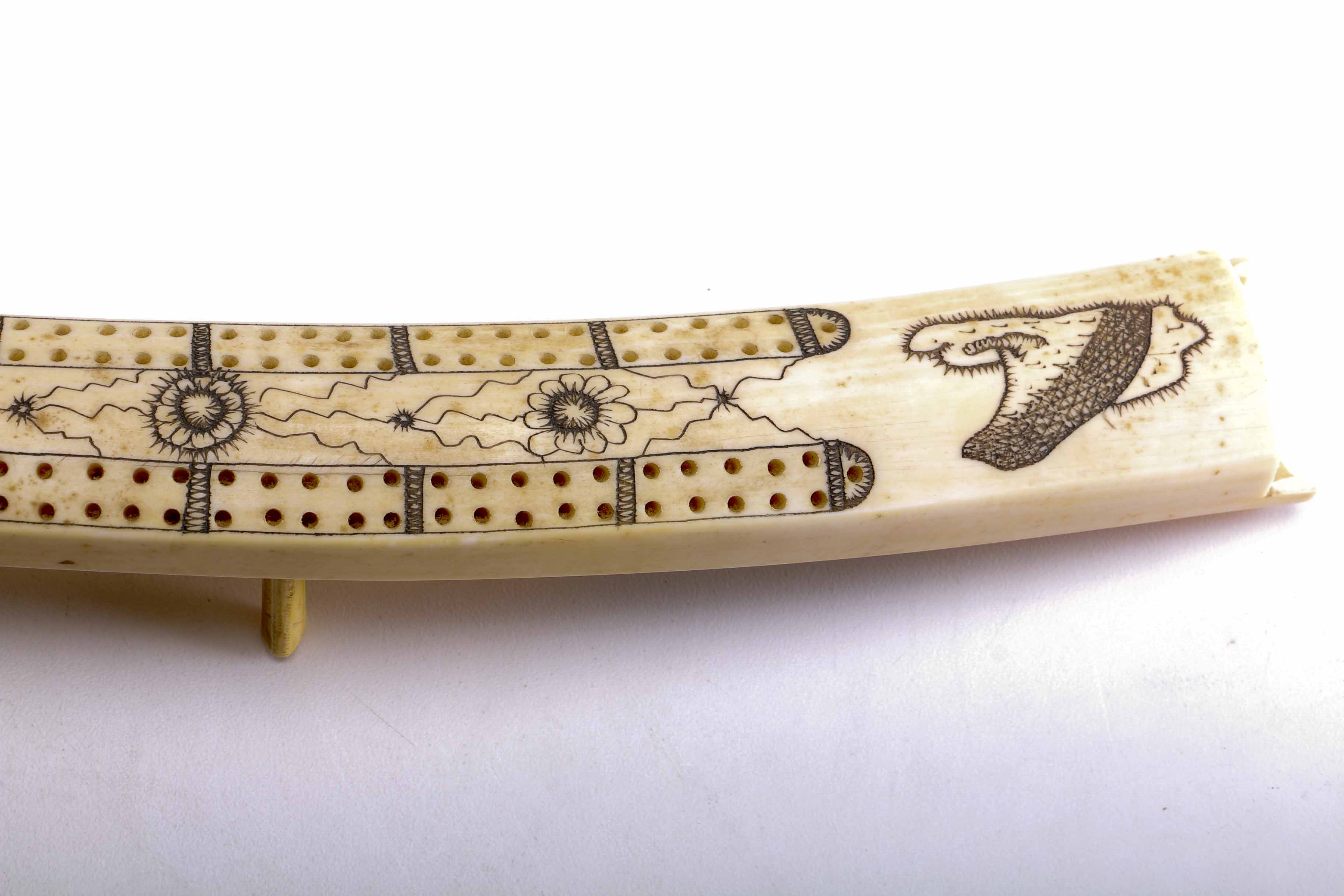 Bone Scrimshaw Cribbage Board
